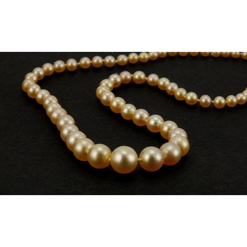 958 - Single string natural pearl necklace with 18ct gold diamond clasp, 46cm in length, approximate weigh... 