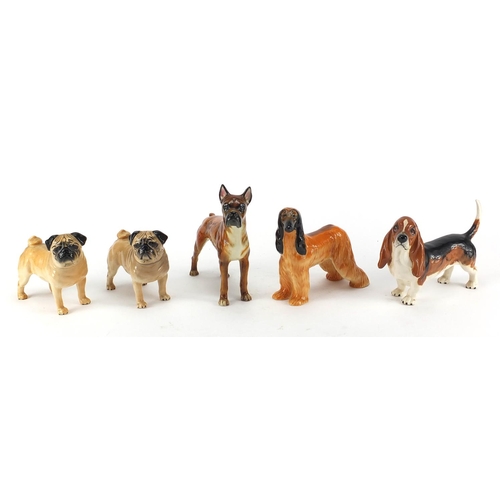 2369 - Five collectable dogs including two Beswick CH Cutmil Cupie and a Beswick Hajubah of Davlen, the lar... 