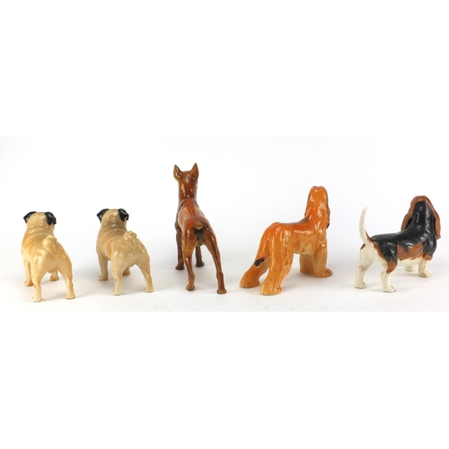 2369 - Five collectable dogs including two Beswick CH Cutmil Cupie and a Beswick Hajubah of Davlen, the lar... 