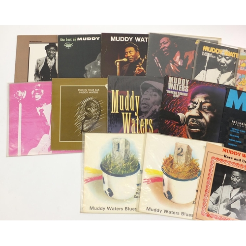 2824 - Muddy Waters Blues vinyl LP's