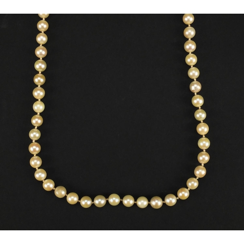 2590 - Single string pearl necklace with 9ct white gold diamond and sapphire clasp, 84cm long, approximate ... 