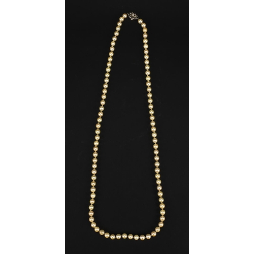 2590 - Single string pearl necklace with 9ct white gold diamond and sapphire clasp, 84cm long, approximate ... 