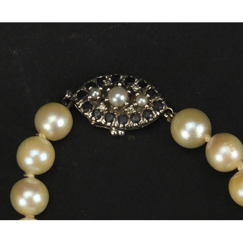 2590 - Single string pearl necklace with 9ct white gold diamond and sapphire clasp, 84cm long, approximate ... 