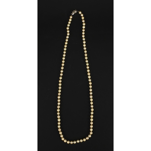 2590 - Single string pearl necklace with 9ct white gold diamond and sapphire clasp, 84cm long, approximate ... 