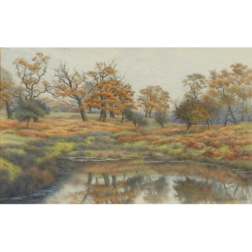 1024 - Charles A Brindley 1915 - Richmond Park pond, watercolour, inscribed labels verso, mounted and frame... 