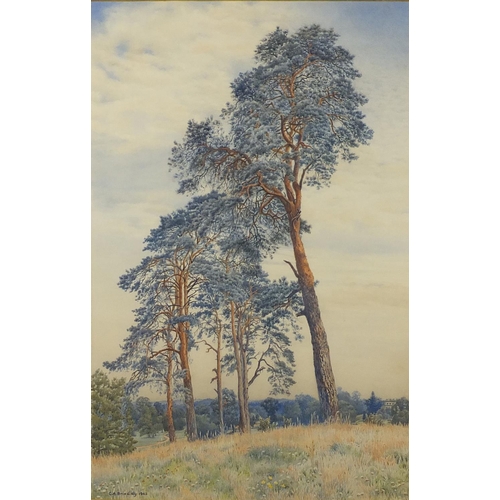 1023 - Charles A Brindley 1903 - Tall trees, watercolour, mounted and framed, 63cm x 41cm