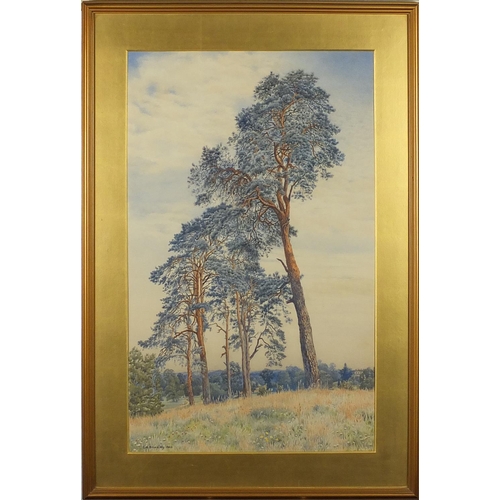 1023 - Charles A Brindley 1903 - Tall trees, watercolour, mounted and framed, 63cm x 41cm