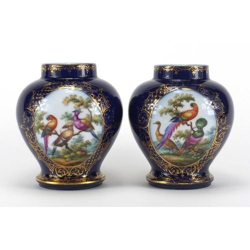 592 - Pair of continental 19th century porcelain vases, hand painted with panels of birds of paradise onto... 