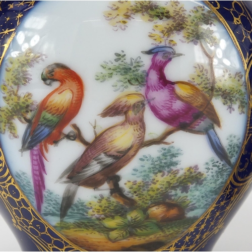 592 - Pair of continental 19th century porcelain vases, hand painted with panels of birds of paradise onto... 