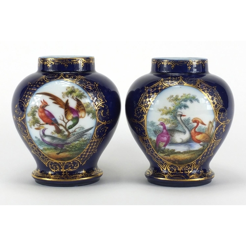 592 - Pair of continental 19th century porcelain vases, hand painted with panels of birds of paradise onto... 