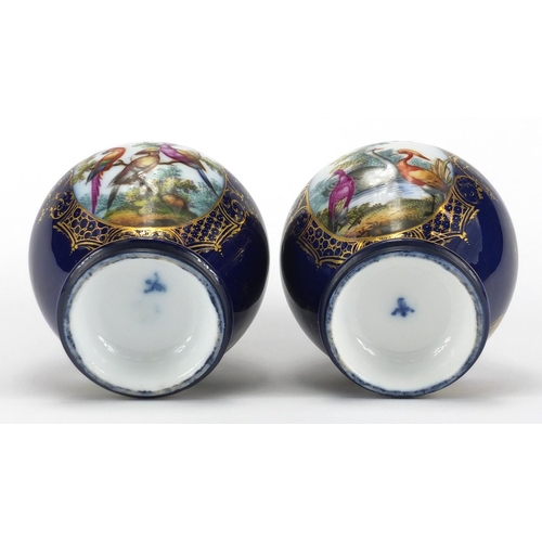 592 - Pair of continental 19th century porcelain vases, hand painted with panels of birds of paradise onto... 