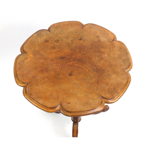 2025 - Victorian burr walnut occasional table with flower shaped top, 72cm high