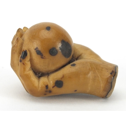 106 - Vegetable ivory walking cane pommel in the form of a well detailed hand clutching a ball, 4cm high