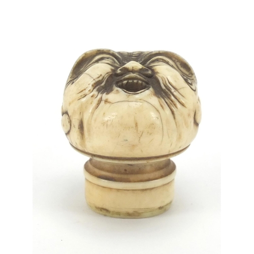 507 - Japanese carved ivory walking stick pommel in the form of a face, 4cm high