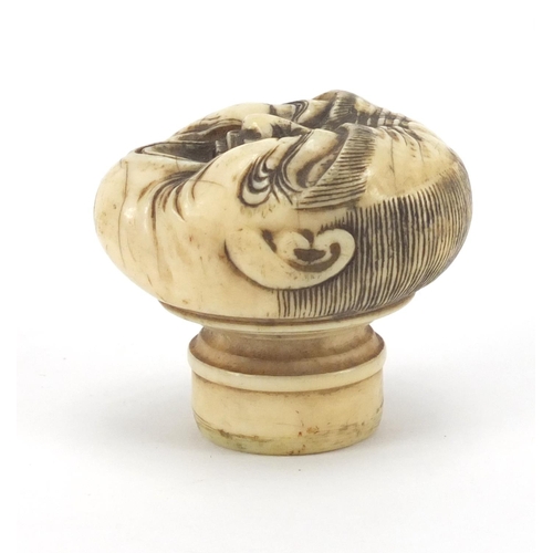 507 - Japanese carved ivory walking stick pommel in the form of a face, 4cm high