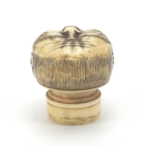 507 - Japanese carved ivory walking stick pommel in the form of a face, 4cm high