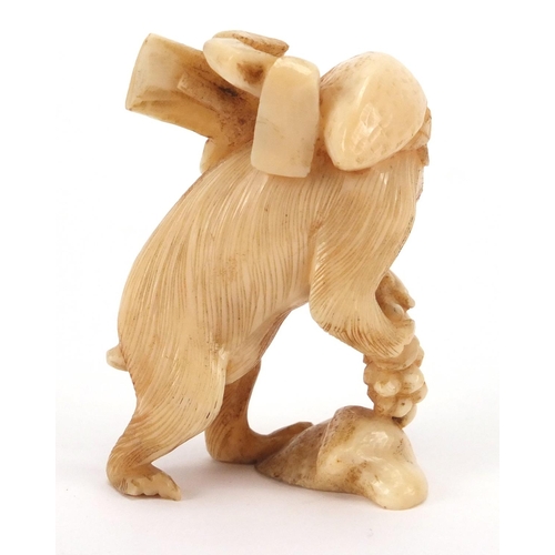 506 - Japanese carved ivory okimono of a monkey at work carrying fruit, 6cm high