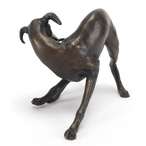 95 - Patinated bronze study of a dog chasing its tail, 11.5cm in length