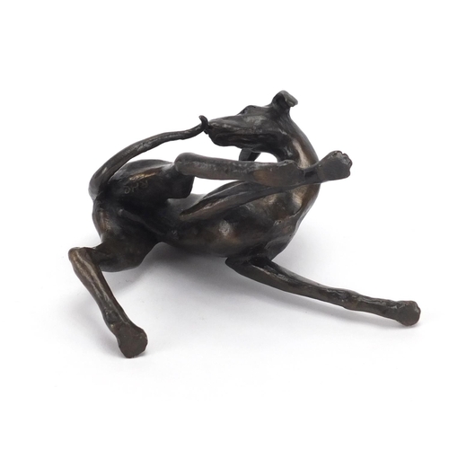 95 - Patinated bronze study of a dog chasing its tail, 11.5cm in length