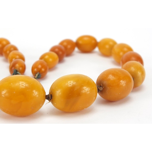 905 - Butterscotch amber coloured bead necklace, 44cm in length, approximate weight 47.8g