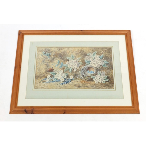 48 - Lottie Clarkson 1889 - Watercolour, birds nest and flowers, mounted and framed, 49cm x 29cm