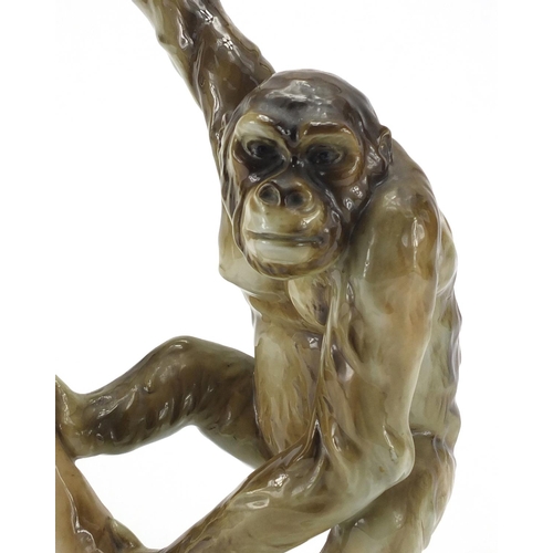 668 - Royal Dux hand painted chimpanzee, factory marks and numbered to the base, 40cm high