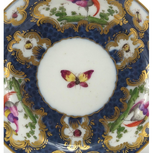 600 - 19th Century blue scale porcelain cup and saucer, hand painted with exotic birds and butterflies, bl... 