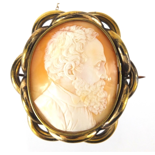 856 - Carved cameo brooch of a male portrait with gilt metal mount, 5cm in length, approximate weight 23.6... 