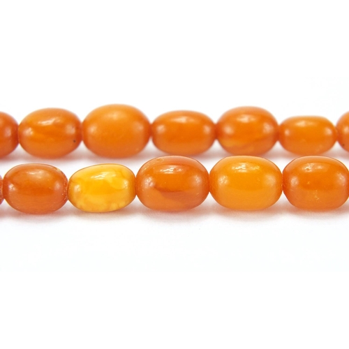 907 - Butterscotch amber coloured bead necklace, 76cm in length, approximate weight 27.6g