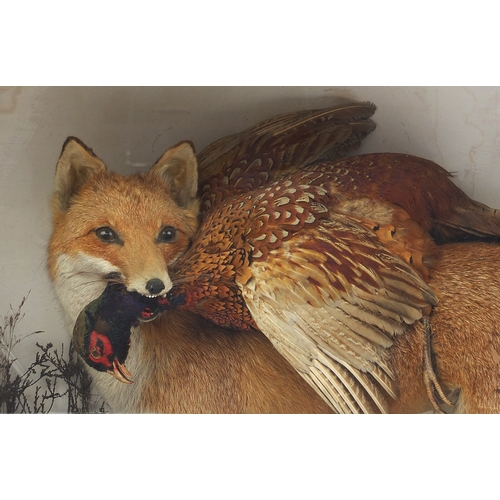 108 - Large Glazed taxidermy display of a fox with its prey, 67cm H x 107cm W x 26.5cm D