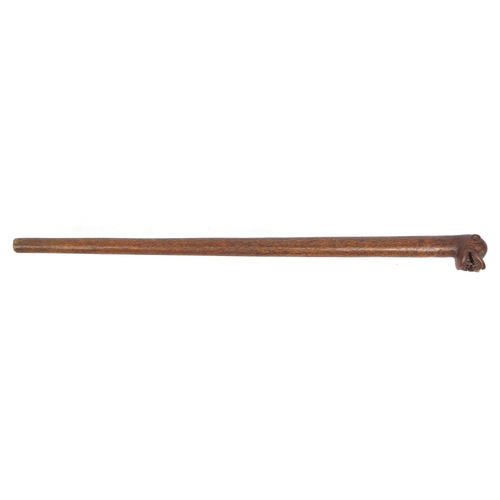 568 - African hardwood walking stick, the pommel carved with lions head, 93cm in length