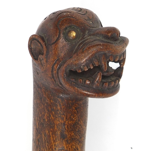 568 - African hardwood walking stick, the pommel carved with lions head, 93cm in length