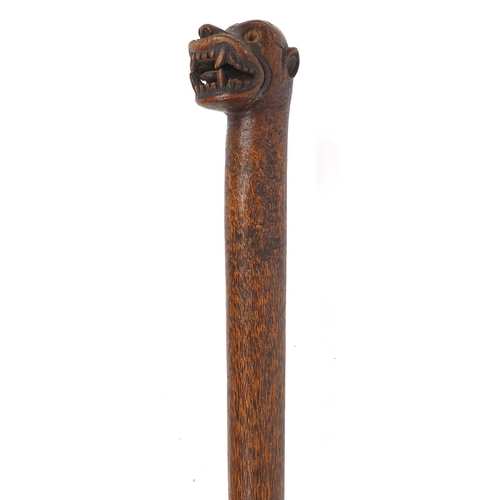 568 - African hardwood walking stick, the pommel carved with lions head, 93cm in length