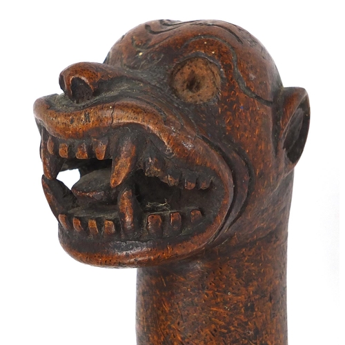 568 - African hardwood walking stick, the pommel carved with lions head, 93cm in length