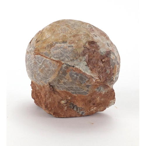 268 - Large fossilised dinosaur egg, 14cm H x 14cm W x 10cm D