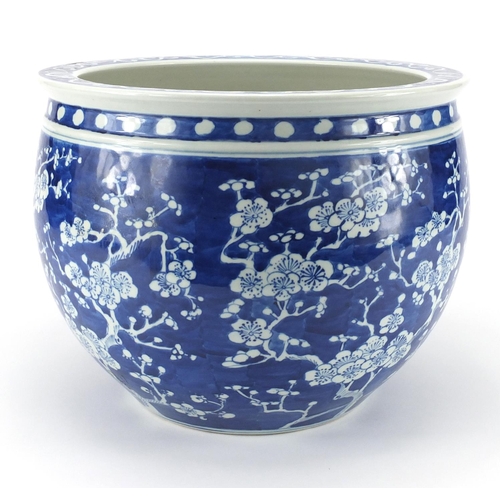 440 - Chinese blue and white porcelain jardinière hand painted with Prunus flowers, blue under glazed ring... 