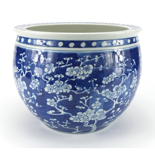440 - Chinese blue and white porcelain jardinière hand painted with Prunus flowers, blue under glazed ring... 
