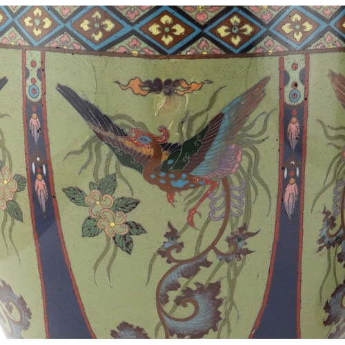 480 - Pair of Japanese cloisonné vases, both enamelled with panels of birds of paradise, the shoulders wit... 