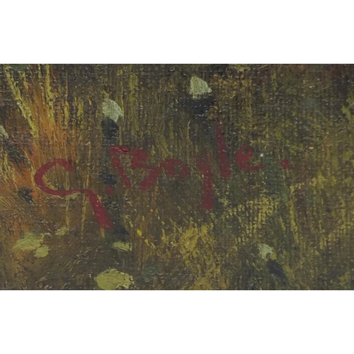 475 - Figure in woodland, oil onto canvas, bearing a signature G Boyle, inscribed verso, unframed, 46cm x ... 