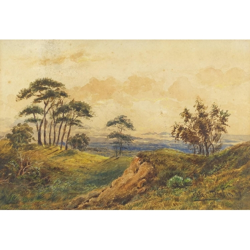 476 - Peter Deakin - Crowborough Sussex landscape, 19th century watercolour, inscribed verso, mounted and ... 