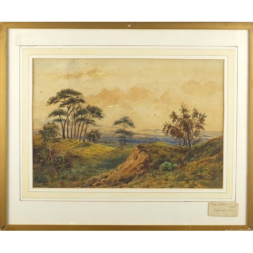 476 - Peter Deakin - Crowborough Sussex landscape, 19th century watercolour, inscribed verso, mounted and ... 