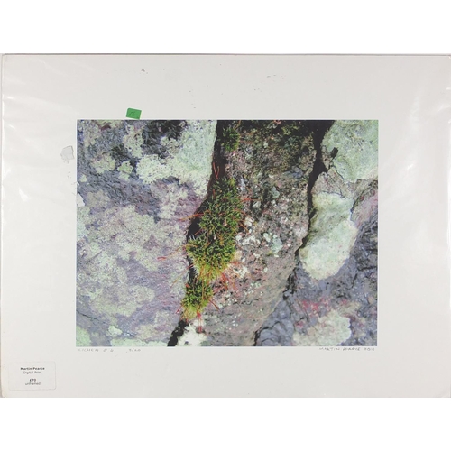 373 - Group of Lichen pencil signed limited edition photographic prints, each mounted and unframed