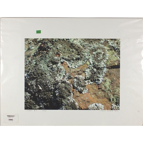 373 - Group of Lichen pencil signed limited edition photographic prints, each mounted and unframed