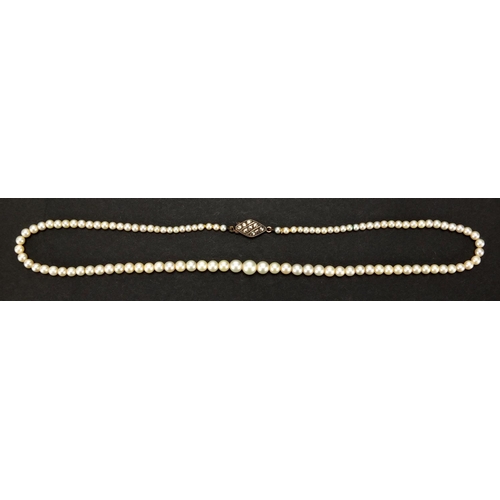 2462 - Single string pearl necklace with silver marcasite clasp, 38cm in length