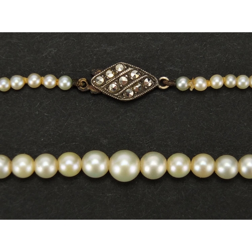 2462 - Single string pearl necklace with silver marcasite clasp, 38cm in length