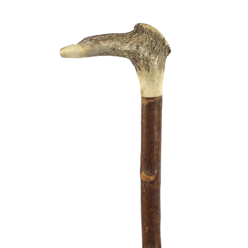 165 - Vintage walking stick with antler horn whistle handle, 91cm in length