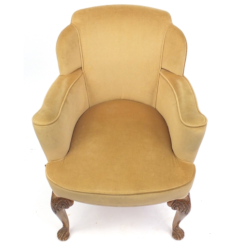 74 - Mahogany framed armchair with yellow upholstery