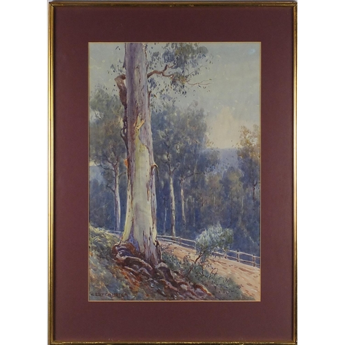 1034 - William Lister Lister - Australian woodland, watercolour, mounted and framed, 52cm x 34cm