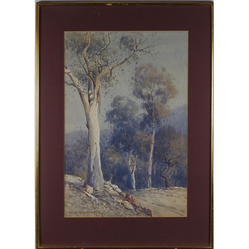 1033 - William Lister Lister - Australian woodland, watercolour, mounted and framed, 52cm x 34cm