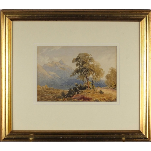 984 - William Noel Johnson - Mountain landscape with a tree beside a path, 19th century watercolour, mount... 